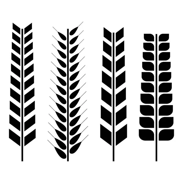 Set of various wheat spikelets, vector illustration. — Stock Vector