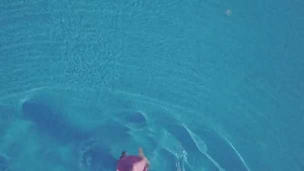 Young woman swimming in a swimming pool — Stock Video