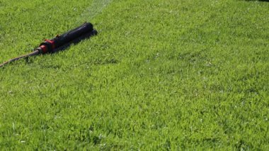 Yeşil çimenlerin üzerinde Çim Sulama
