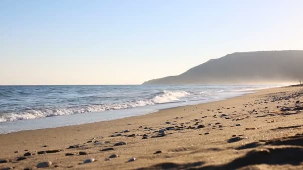 Spiaggia sabbiosa all'alba — Video Stock