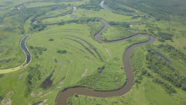 Latające nad piękną rzeką i zielone pola — Wideo stockowe