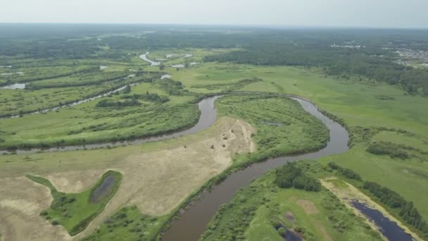 Vliegen over de prachtige rivier en de groene velden — Stockvideo