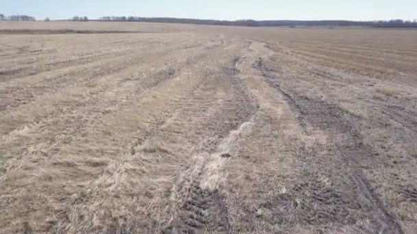 Luchtfoto van lege herfst veld. Landelijk gebied. — Stockvideo