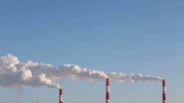 Güneşli bir günde buğulaması Chp bitki