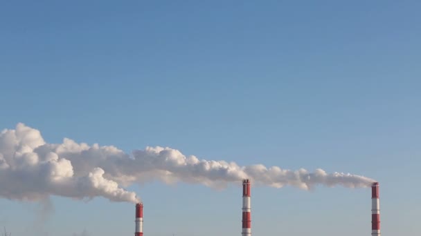 热电联产厂在阳光明媚的日子里蒸气 — 图库视频影像