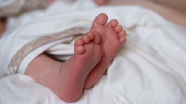 A newborns baby feet — Stock Video