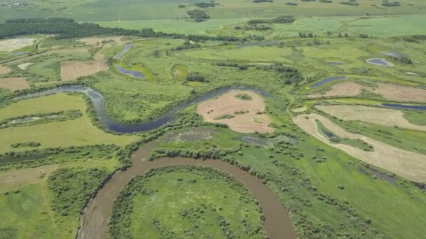 Volando sobre el hermoso río y los campos verdes — Vídeo de stock