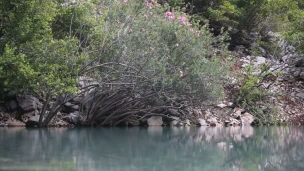 Кадр из Горного озера — стоковое видео