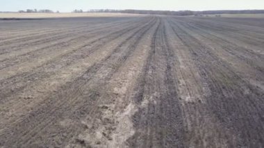 Havadan görünümü boş sonbahar alanının. Kırsal alan.