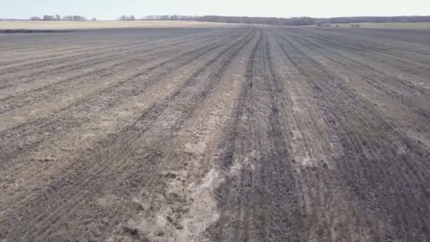 Aerial view of empty autumn field. Rural area. — Stock Video