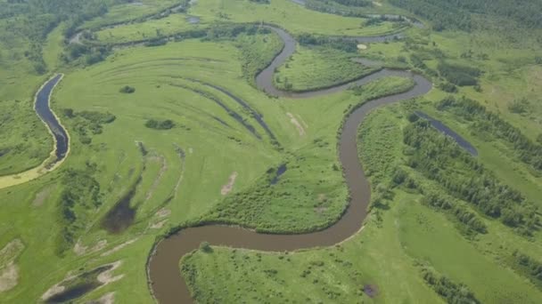 Latające nad piękną rzeką i zielone pola — Wideo stockowe