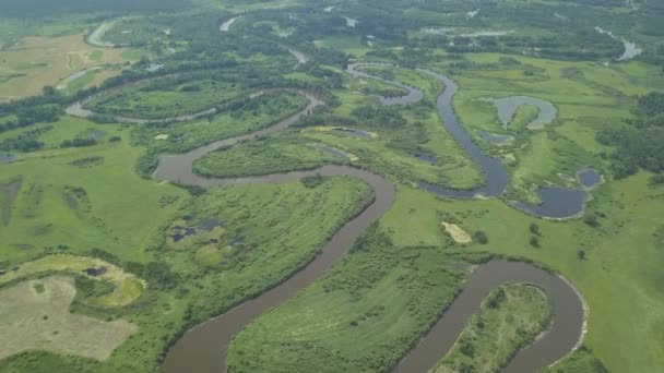 Voando sobre o belo rio e campos verdes — Vídeo de Stock