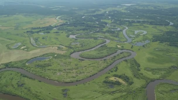 Latające nad piękną rzeką i zielone pola — Wideo stockowe