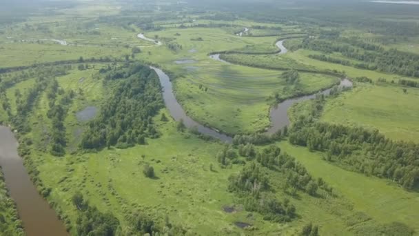 Volando sobre el hermoso río y los campos verdes — Vídeo de stock