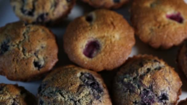 Homemade wholegrain muffins with berries on a white plate — Stock Video