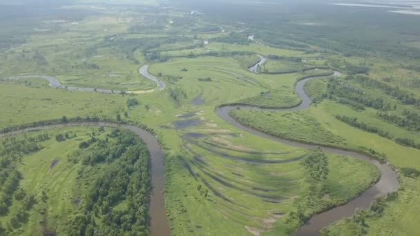 Latające nad piękną rzeką i zielone pola — Wideo stockowe