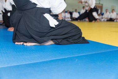 Kimono ve hakama giymiş insanlar dövüş sanatları eğitimi alıyorlar.