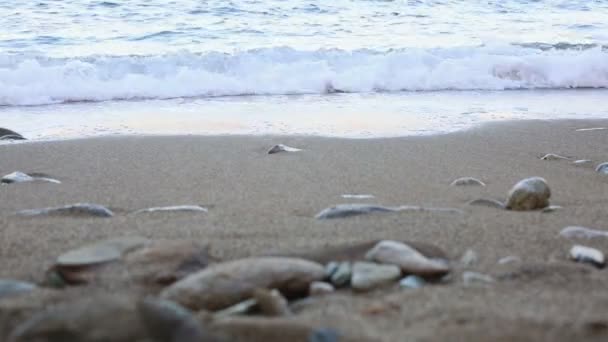 Douce vague de mer bleue sur une plage de sable fin — Video