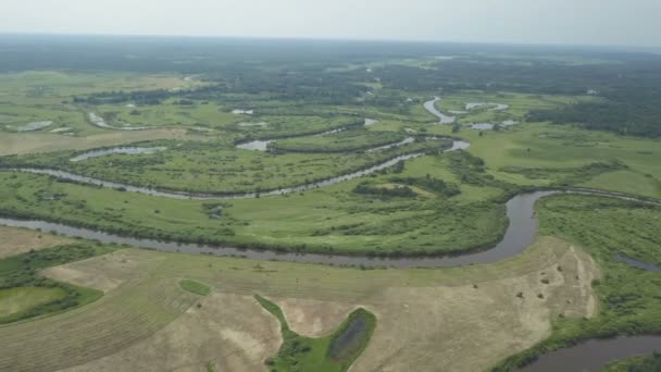 Політ над прекрасною річкою і зеленими полями — стокове відео