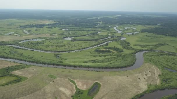 Latające nad piękną rzeką i zielone pola — Wideo stockowe