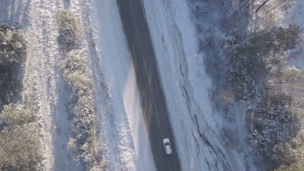 Samochody jazdy wzdłuż drogi zimowe śniegiem pokryte drzewa widok z lotu ptaka — Wideo stockowe