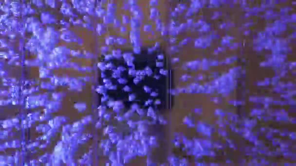 Luftblasen, die in klarem Wasser im Zieraquarium aufsteigen — Stockvideo