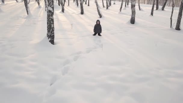 Schönes kleines Mädchen, das einen Schnee-Engel macht — Stockvideo