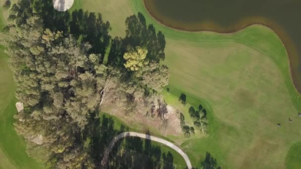 高尔夫球场场地的空中镜头 — 图库视频影像