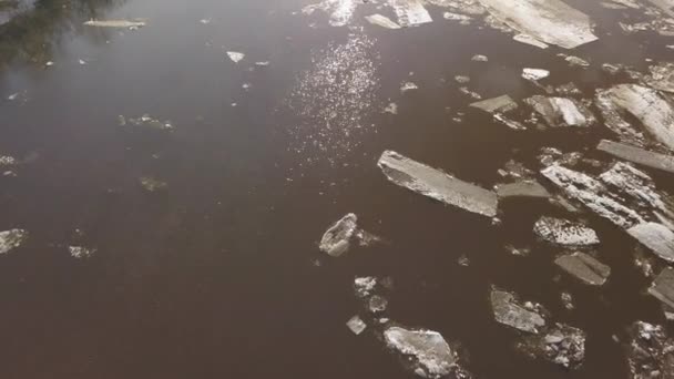 I ghiacci galleggiano sul fiume. La deriva del ghiaccio in primavera — Video Stock
