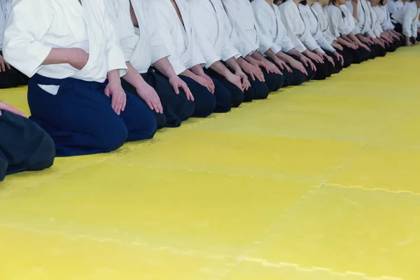 Pessoas em quimono e hakama em treinamento de artes marciais — Fotografia de Stock