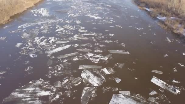 O gelo flutua no rio. A deriva de gelo na primavera — Vídeo de Stock