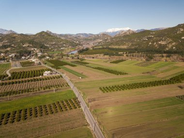 Türkiye 'de yeşil alanların güzel bahar manzarası