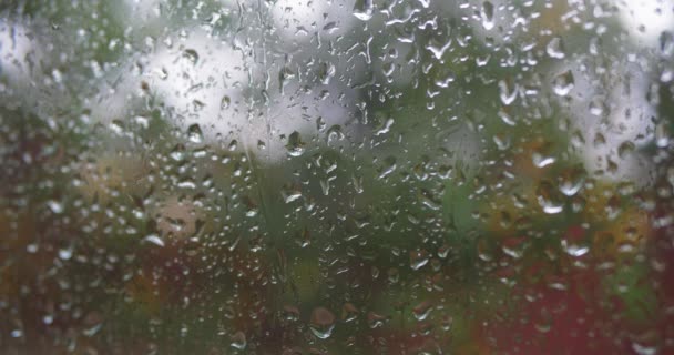 Σταγόνες βροχής που πέφτουν στην επιφάνεια του παραθύρου — Αρχείο Βίντεο