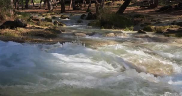 Crystal Water dans Forest Mountain River. Au fond des montagnes — Video