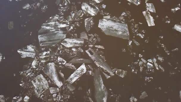 Les floes de glace flottant sur la rivière. La dérive des glaces au printemps — Video