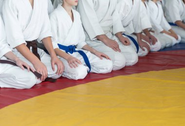 Kimono ve hakama giymiş insanlar dövüş sanatları eğitimi alıyorlar.