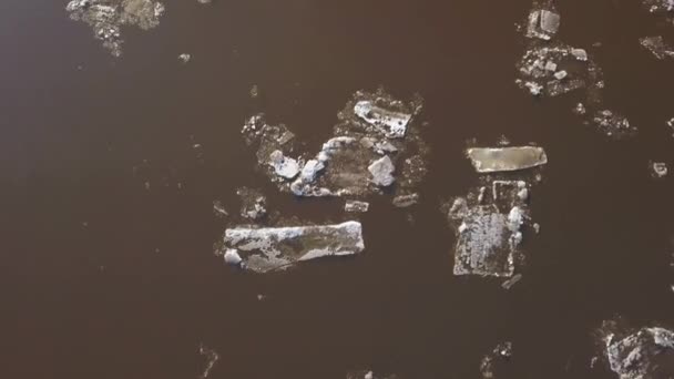 Les floes de glace flottant sur la rivière. La dérive des glaces au printemps — Video