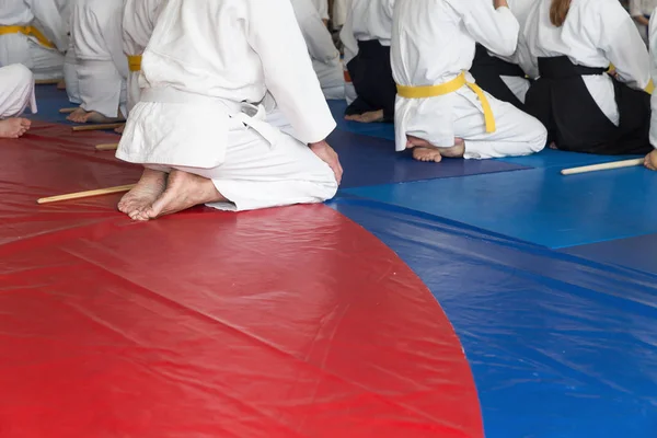 People in kimono on martial arts weapon training seminar