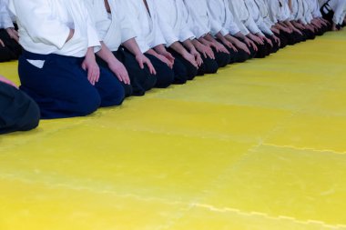 Kimono ve hakama giymiş insanlar dövüş sanatları eğitimi alıyorlar.