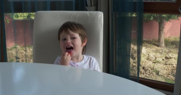 Lindo chico comiendo fresas frescas maduras en casa — Vídeo de stock