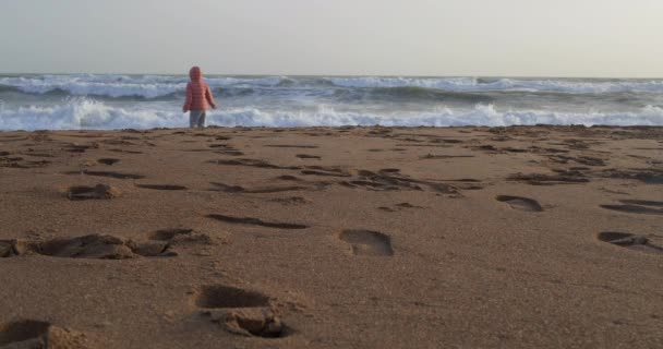 En tjej som kör på havsstranden på vintern — Stockvideo