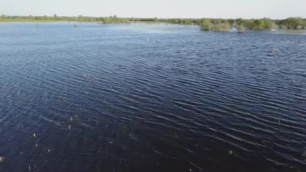 Venkovská oblast zaplavená vodou v jarním čase — Stock video