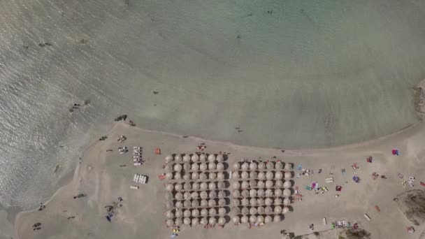 Zdjęcia lotnicze z Karaibów jak plaża z turkusową wodą i różowym piaskiem — Wideo stockowe
