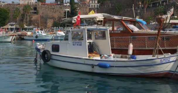 Barcos pesqueros en marina. 22 de enero de 2019. Antalya, Turquía — Vídeo de stock