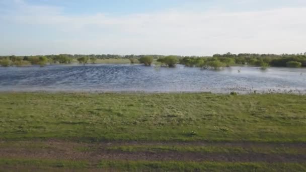 Сельское поле, заполненное водой весной — стоковое видео