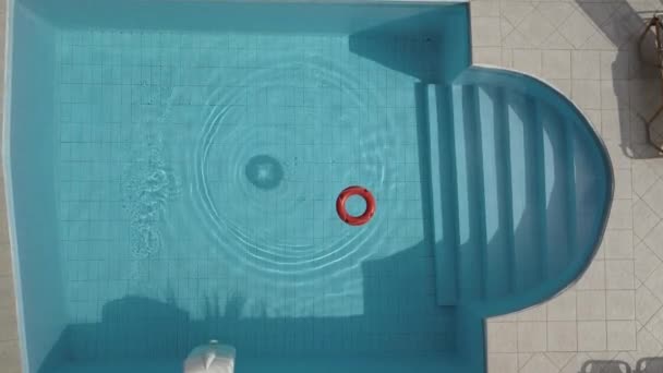 Lifebuoy in a swimming pool — Stock Video