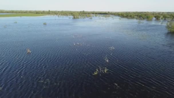 Venkovská oblast zaplavená vodou v jarním čase — Stock video