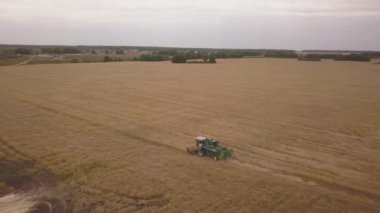 Sonbaharda çalışan bir kombine hasat makinesi havadan drone atış