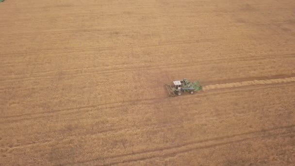 Drohnenaufnahmen eines Mähdreschers bei der Arbeit im Herbst — Stockvideo