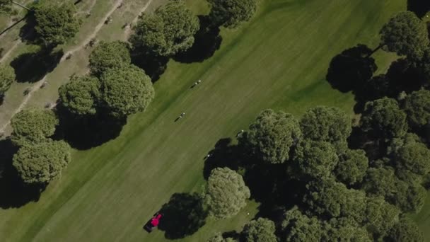 Ciągnik z kosiarki pożyczkowej pracujący na polu golfowym — Wideo stockowe